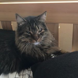 Meet your Posher, Lili